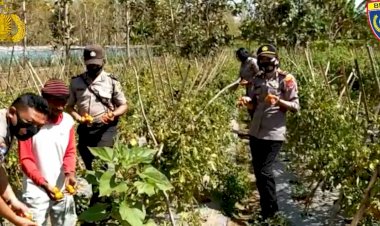 Video:Mengintip-Wajah-Kampung-Tangguh-Polres-Belu-di-Dusun-Weraihenek