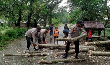 Cegah-Kemacetan,-Anggota-Polsek-Tasifeto-Timur-Cekatan-Evakuasi-Pohon-Tumbang-Akibat-Hujan-Angin
