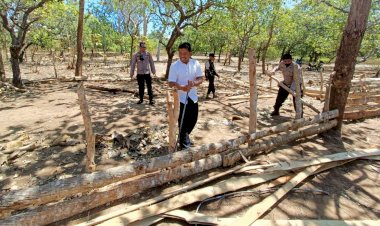 Berangkat-dari-Patroli,-Tim-Berantas-Judi-Polres-Belu-Bongkar-Arena-Judi-Sabung-Ayam-di-Hutan-Sabete