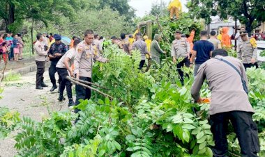 Gerak-Cepat,-Kapolres-Belu-Pimpin-Anggota-Evakuasi-Pohon-Beringin-yang-Tumbang-di-Lapangan-Umum-Atambua