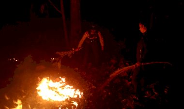 Gerak-Cepat,-Aparat-Polsek-Tasbar-bersama-Polhut-Berjibaku-Padamkan-Kebakaran-di-Kawasan-Hutan-Lindung-Nenuk