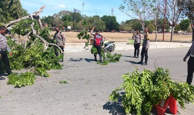 Gerak-Cepat,-Wakapolres-Belu-Pimpin-Anggota-Evakuasi-Pohon-yang-Tumbang-di-Depan-Hotel-Liurai