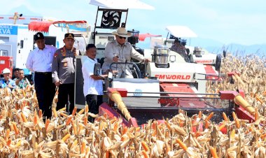Presiden-Prabowo-Senang-Panen-Raya-Jagung-Inisiasi-Polri-Berhasil