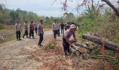 Tonton-Video,-Personel-Polres-Belu-dan-Polsek-Tastim-Sigap-Evakuasi-Pohon-Tumbang-Lancarkan-Arus-Lalu-Lintas-di-Ruas-Jalan-Raya-desa-Dafala