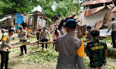 Tanggap-Bencana-Alam,-Polres-Belu-bersama-BPBD-dan-Brimob-Gerak-Cepat-Evakusi-Pohon-Tumbang-yang-Menimpa-Rumah-Warga-Fatuluka