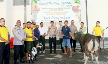 Rayakan-Idul-Adha-1447-H,-Kapolres-Belu-bersama-Anggota-Sembelih-4-Ekor-Sapi-dan-1-Ekor-Kambing-Kurban
