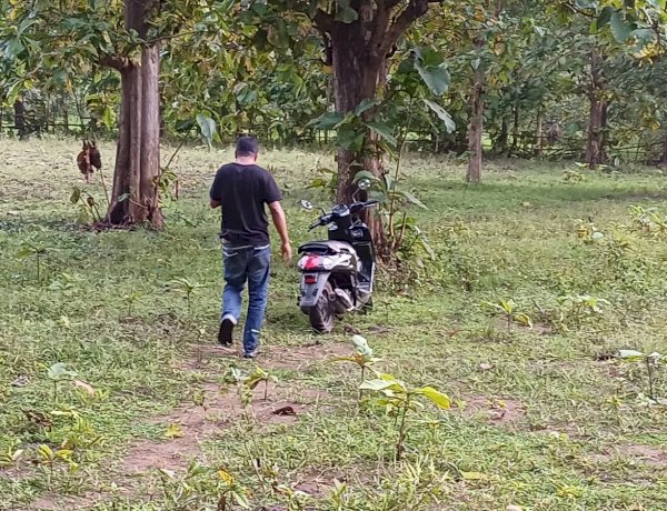 Tegas Berantas Judi, Aparat Reskrim Polres Belu Gerebek Sabung Ayam di Hutan Jati Raihenek, 3 Unit Sepeda Motor Diamankan