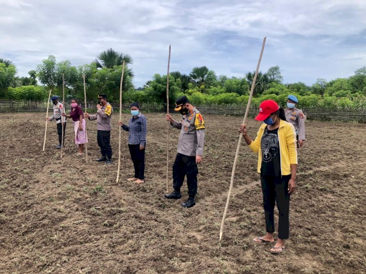 Sulap Lahan Tidur Jadi Produktif, Kapolres Belu Bersama PJU Tanam Jagung Dukung Ketahanan Pangan di Tengah Pandemi