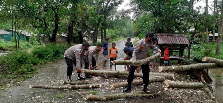 Cegah Kemacetan, Anggota Polsek Tasifeto Timur Cekatan Evakuasi Pohon Tumbang Akibat Hujan Angin