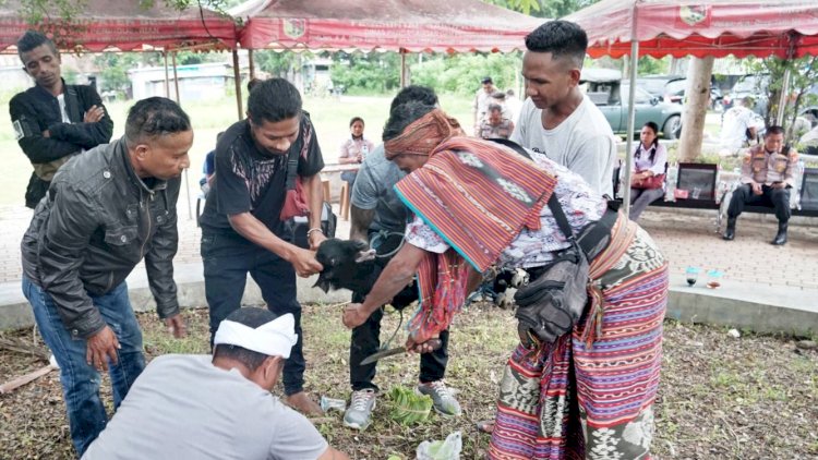 Difasilitasi Polres Belu, Dua Kelompok Pemuda Gelar Sumpah Adat Akhiri Konflik di Pasar Baru