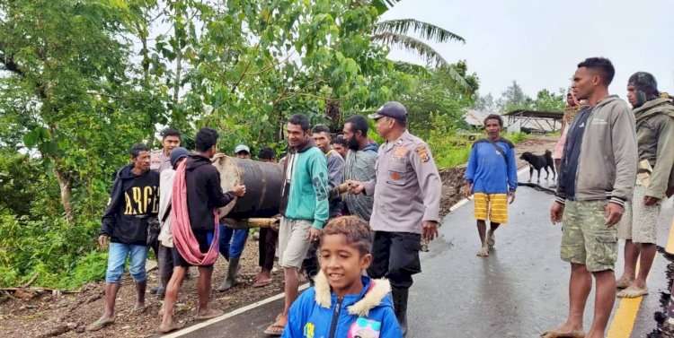 Puluhan Rumah Warga dan Gedung Sekolah Tertimpa Longsor, Polsek Lamaknen Sigap Bantu Evakuasi Warga Lutharato ke Tempat Aman