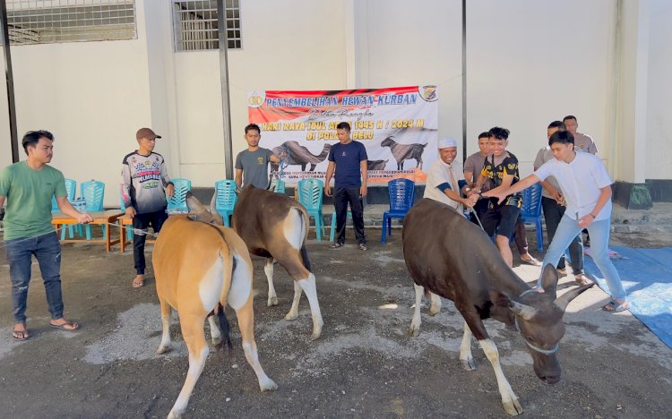 Polres Belu Salurkan Daging Kurban untuk Ratusan Warga di Momen Idul Adha 1445 H