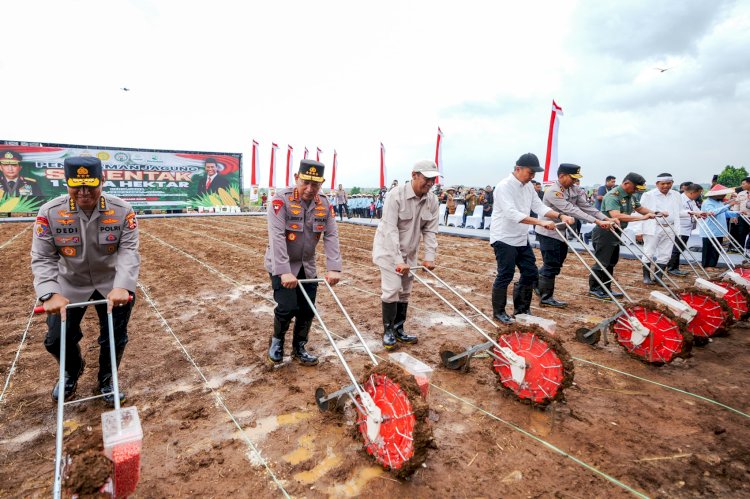 Gerakan 1 Juta Hektare Jagung: Sinergi Polri dan Kementrian Pertanian Wujudkan Swasembada Pangan 2025