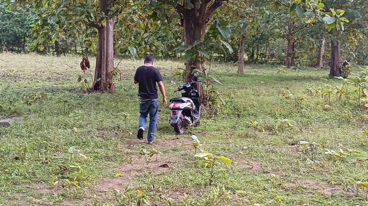 Tegas Berantas Judi, Aparat Reskrim Polres Belu Gerebek Sabung Ayam di Hutan Jati Raihenek, 3 Unit Sepeda Motor Diamankan