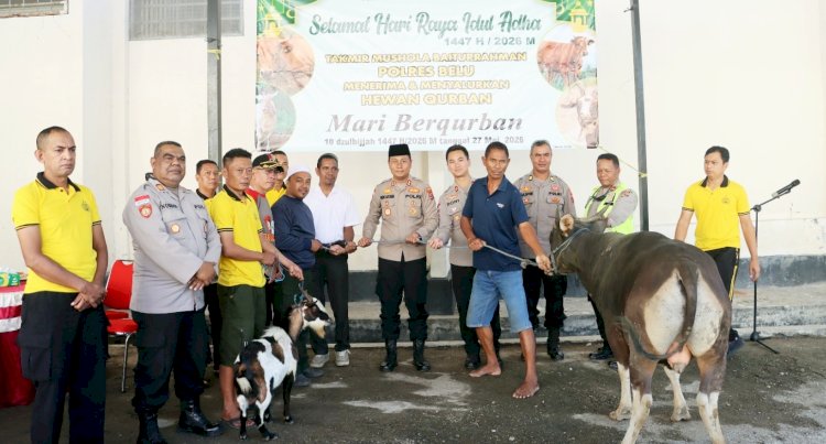 Rayakan Idul Adha 1447 H, Kapolres Belu bersama Anggota Sembelih 4 Ekor Sapi dan 1 Ekor Kambing Kurban