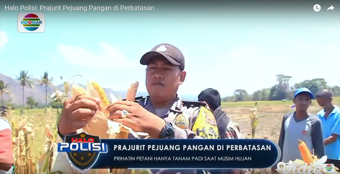 Perbaiki Ekonomi Masyarakat Lewat Pertanian, Intip Kisah Brigadir Yusran Sang Pejuang Pangan di Perbatasan RI-Timor Leste