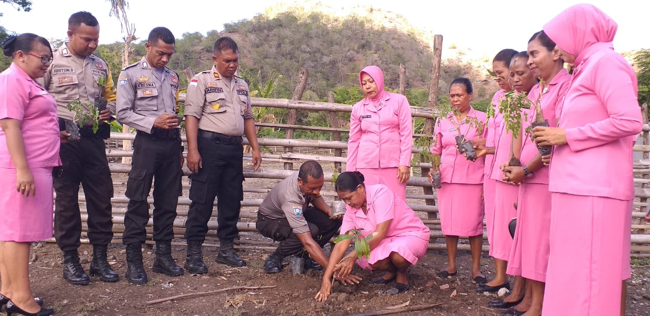 Polri Peduli Penghijauan, Kapolsek Kakuluk Mesak Kembali Tanam Pohon Bersama Anggota dan Bhayangkari